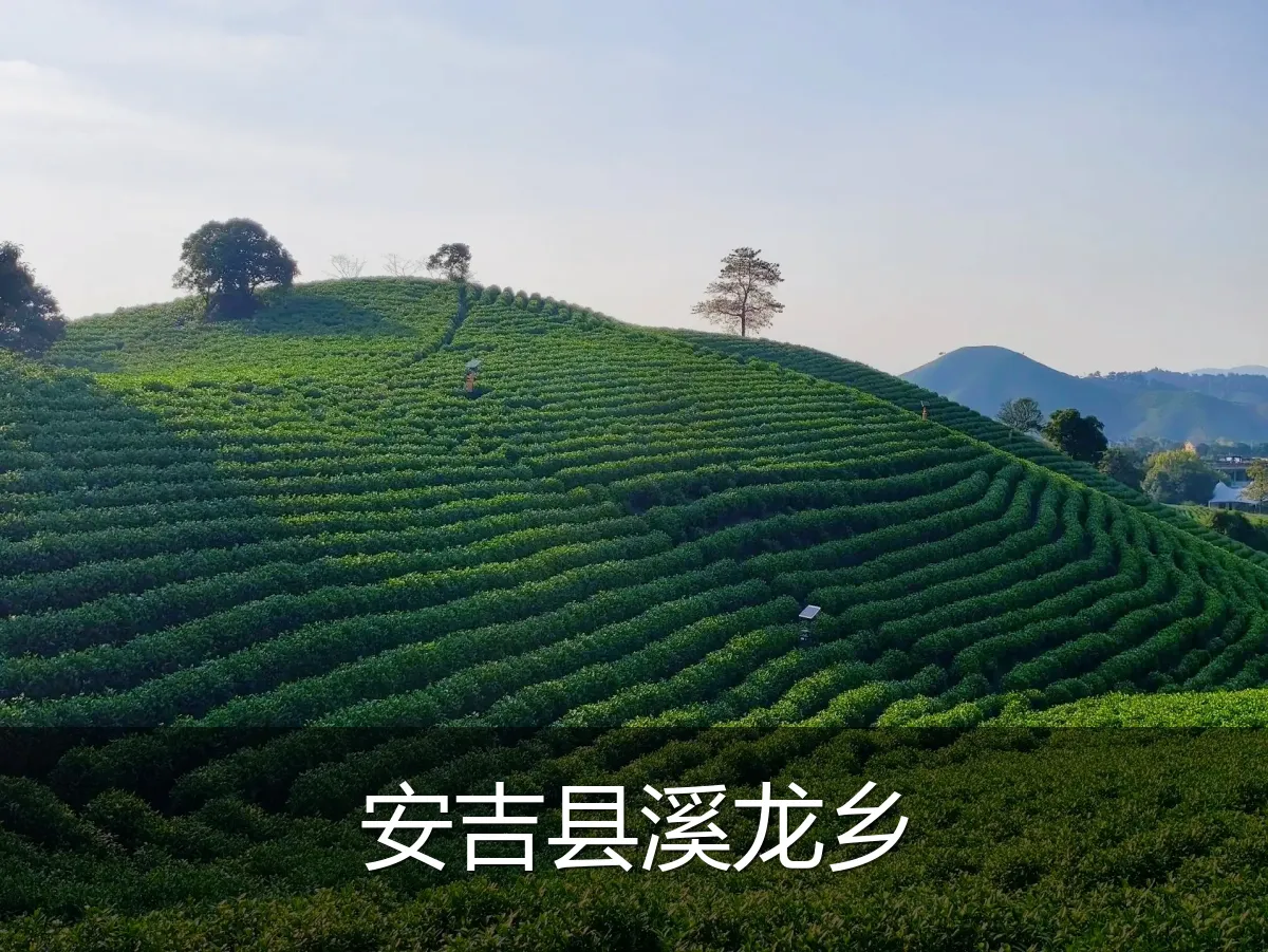 安吉县溪龙乡