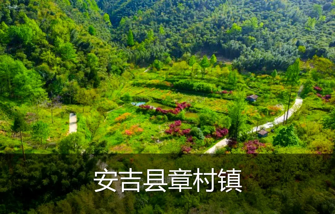 安吉县章村镇